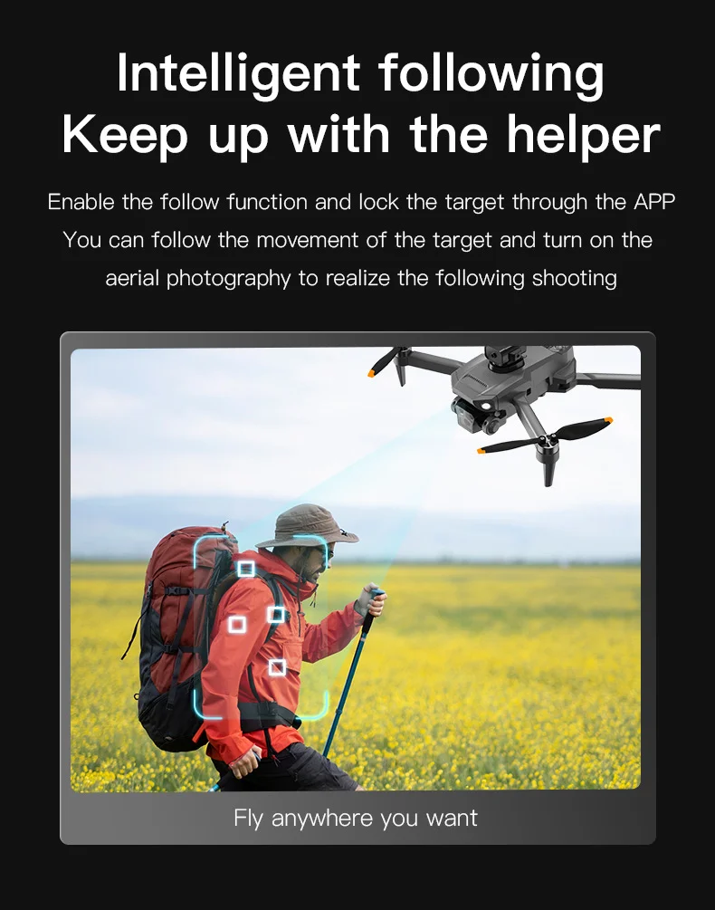 Pasted Image